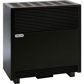 Williams Enclosed Front Room Heater 6501522A Natural Gas 65000 BTU Williams Enclosed Front Room Heater 6501522A Natural Gas 65000 BTU