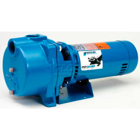 Goulds GT15 Goulds GT15 IRRI-GATOR Centrifugal Pump - Single Phase ODP Motor - 115 / 230V - 1-1/2 HP - 110 GPM image.