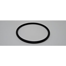 JET Equipment HLPT2745-150 JET® O-Ring (45X2.65Mm) , HLPT2745-150 image.