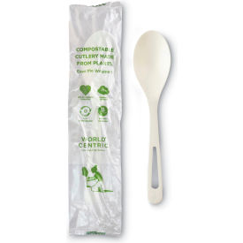 Eco-Products® Compostable Spoon TPLA White Pack of 750