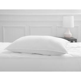 WELSPUN USA INC. HSWC-PLO-STDP-01 Welspun Standard Micro Denier Pillows, 24 oz - 20"L x 26"W, White image.