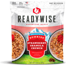 Wise Company Inc 05-907 ReadyWise 05-907 Outdoor Strawberry Granola Crunch, 2 Servings/Pouch, 6/Pack image.