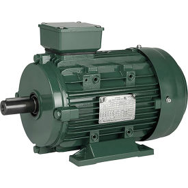 Worldwide Electric Corporation IEC Aluminum Frame Motor B3 TEFC 7-1/2HP 1200 RPM 230/460V 
