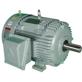 Worldwide Electric Corporation IEEE200-36-447TS Hyundai T-Frame Motor IEEE200-36-447TS, TEFC, Rigid, 3 PH, 447TS, 460V, 219.3 FLA image.