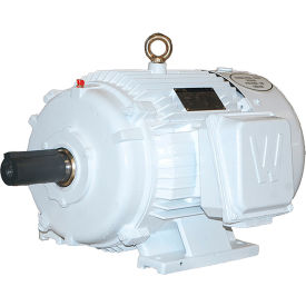 Oil Well Pump Motor, 50HP, 900 RPM, 3PH, 71 FLA, TEFC, 405T Frame view 2