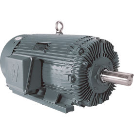 Severe Duty Motor, 250HP, 1200 RPM, 460V, Ball Bearing On Drive-End view 2