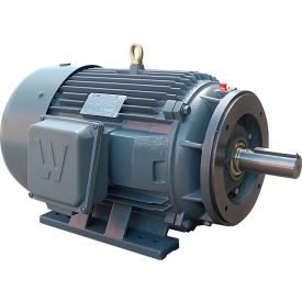 Severe Duty Motor, 3PH, 250HP, 460V, 1800 RPM, TEFC, 449TC Frame view 2