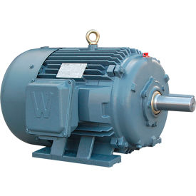 Severe Duty Motor, 50HP, 900 RPM, 230/460V, TEFC, 404T Frame view 2