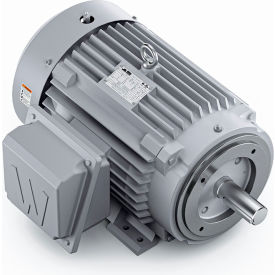 Severe Duty Motor, 3PH, 10HP, 230/460V, 1200 RPM, TEFC, 256TC Frame view 2