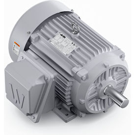 Severe Duty Motor, 3PH, 10HP, 230/460V, 1800 RPM, TEFC, 215T Frame view 2