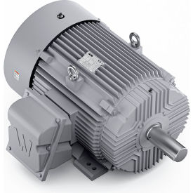Severe Duty Motor, 3PH, 100HP, 230/460V, 1800 RPM, TEFC, 405T Frame view 2