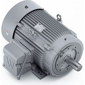 Severe Duty Motor, 3PH, 100HP, 230/460V, 1800 RPM, TEFC, 405TC Frame view 2