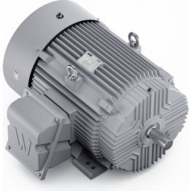 Severe Duty Motor, 3PH, 100HP, 230/460V, 1800 RPM, TEFC, 405TS Frame view 2