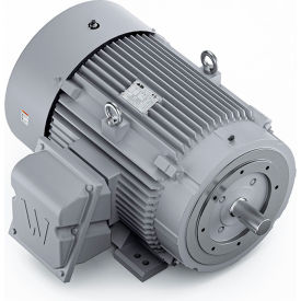 Severe Duty Motor, 3PH, 100HP, 230/460V, 1800 RPM, TEFC, 405TSC Frame view 2
