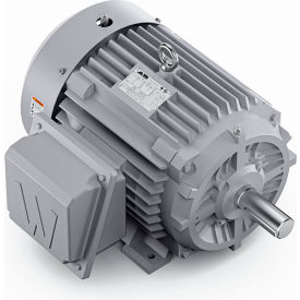 Severe Duty Motor, 3PH, 15HP, 230/460V, 3600 RPM, TEFC, 254T Frame view 2