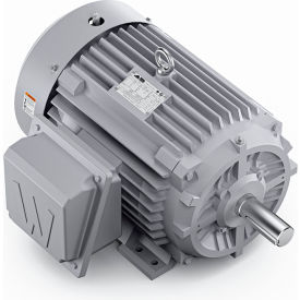 Severe Duty Motor, 3PH, 20HP, 230/460V, 1800 RPM, TEFC, 256T Frame view 2