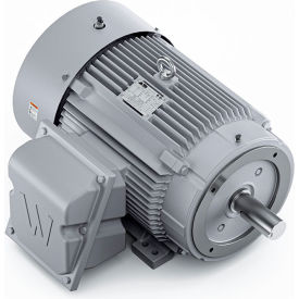 Severe Duty Motor, 3PH, 25HP, 230/460V, 1200 RPM, TEFC, 324TC Frame view 2