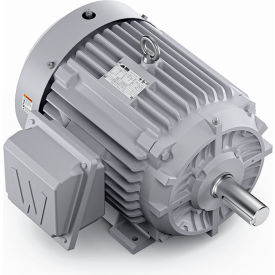 Severe Duty Motor, 3PH, 25HP, 230/460V, 1800 RPM, TEFC, 284T Frame view 2