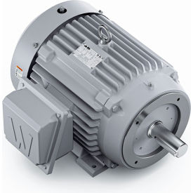 Severe Duty Motor, 3PH, 25HP, 230/460V, 1800 RPM, TEFC, 284TC Frame view 2