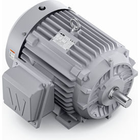 Severe Duty Motor, 3PH, 25HP, 230/460V, 1800 RPM, TEFC, 284TS Frame view 2