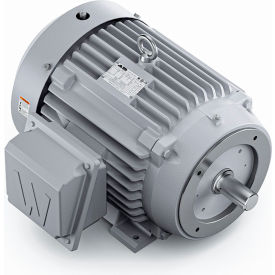 Severe Duty Motor, 3PH, 25HP, 230/460V, 1800 RPM, TEFC, 284TSC Frame view 2