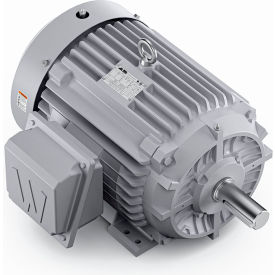 Severe Duty Motor, 3PH, 30HP, 230/460V, 1800 RPM, TEFC, 286T Frame view 2