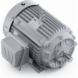 Severe Duty Motor, 3PH, 30HP, 230/460V, 1800 RPM, TEFC, 286TS Frame view 2