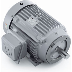 Severe Duty Motor, 3PH, 30HP, 230/460V, 3600 RPM, TEFC, 286TC Frame view 2