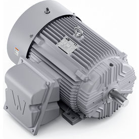 Severe Duty Motor, 3PH, 40HP, 230/460V, 1800 RPM, TEFC, 324TS Frame view 2