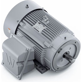 Severe Duty Motor, 3PH, 40HP, 230/460V, 1800 RPM, TEFC, 324TSC Frame view 2
