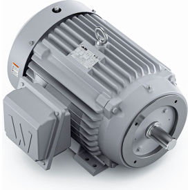 Severe Duty Motor, 3PH, 40HP, 230/460V, 3600 RPM, TEFC, 286TSC Frame view 2
