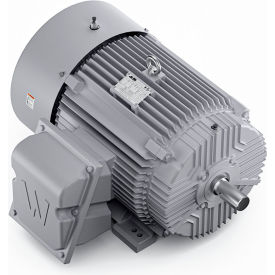 Severe Duty Motor, 3PH, 60HP, 230/460V, 3600 RPM, TEFC, 364TS Frame view 2