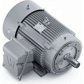 Severe Duty Motor, 3PH, 75HP, 230/460V, 1800 RPM, TEFC, 365TC Frame view 2