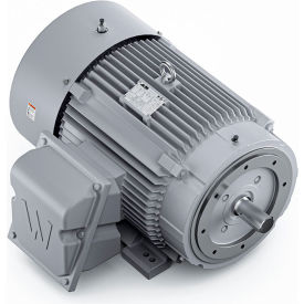 Severe Duty Motor, 3PH, 75HP, 230/460V, 1800 RPM, TEFC, 365TSC Frame view 2