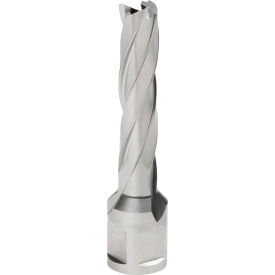 12,000-Series Annular Cutter, 31/64" Dia. x 2" Depth of Cut view 2