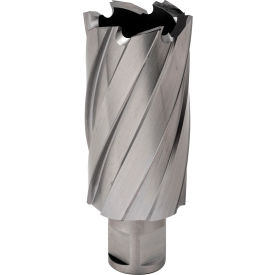 12,000-Series Annular Cutter, 1-5/16" Dia. x 2" Depth of Cut view 2
