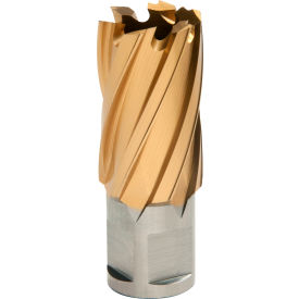 12,000-Series TiN Annular Cutter, 7/8" Dia. x 1" Depth of Cut view 2