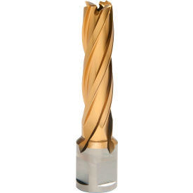 12,000-Series TiN Annular Cutter, 1/2" Diameter x 2" Depth of Cut view 2