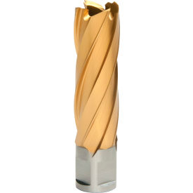 12,000-Series TiN Annular Cutter, 13/16" Dia. x 2" Depth of Cut view 2