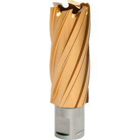 12,000-Series TiN Annular Cutter, 1-1/8" Dia. x 2" Depth of Cut view 2
