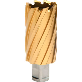 12,000-Series TiN Annular Cutter, 1-3/8" Dia. x 2" Depth of Cut view 2