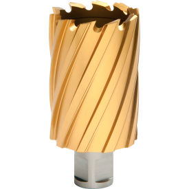 12,000-Series TiN Annular Cutter, 1-13/16" Diameter, 2" Depth of Cut view 2