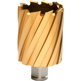 12,000-Series TiN Annular Cutter, 2-1/16" Dia. x 2" Depth of Cut view 2