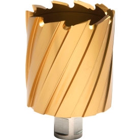 12,000-Series TiN Annular Cutter, 2-5/16" Diameter, 2" Depth of Cut view 2