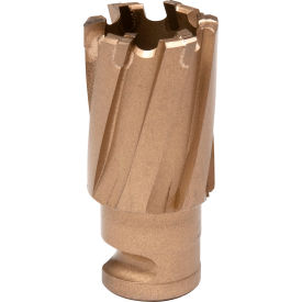 Carbide Annular Cutter, 13/16" Dia. x 3/4" Depth of Cut view 2