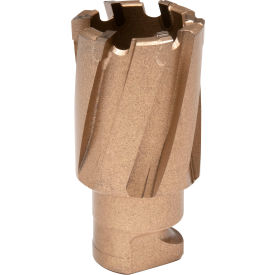 Carbide Annular Cutter, 7/8" Diameter x 3/4" Depth of Cut view 2