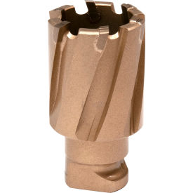 Carbide Annular Cutter, 15/16" Diameter x 3/4" Depth of Cut view 2
