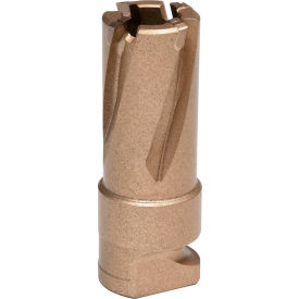 15mm Dia. x 19mm Depth of Cut Carbide Annular Cutter view 2
