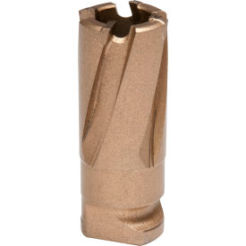 Carbide Annular Cutter, 17mm Dia. x 19mm Depth of Cut view 2