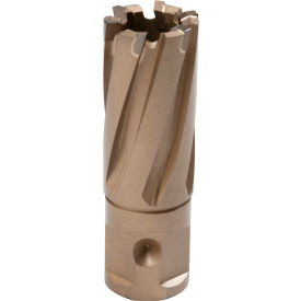 Copperhead Carbide Tip Annular Cutter, 13/16" Diameter x 1" Depth of Cut view 2